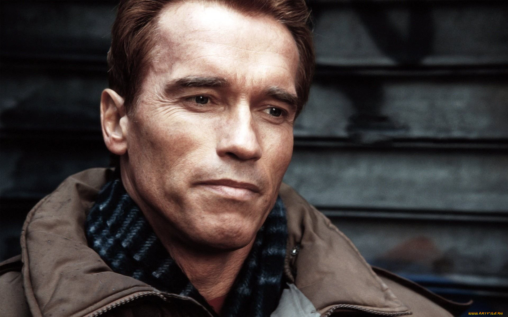 , arnold schwarzenegger, , , , 